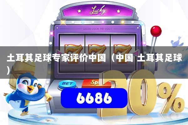 土耳其足球专家评价中国(中国 土耳其足球)